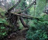 Park Narodowy Bory Tucholskie, Struga Siedmiu Jezior