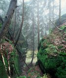 Park Narodowy Gór Stołowych