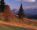 Podhale i Tatry, widok z Gliczarowa