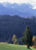 Podhale i Tatry, widok z Gliczarowa