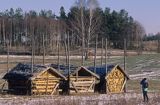 Podlasie, w Kiturykach, brogi