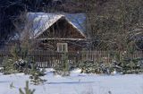 Podlasie osada Topiło w Puszczy Białowieskiej