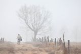 W porannej mgle na polnej drodze nad Narwią koło wsi Zajki, Podlasie