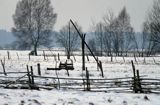 Podlasie, żuraw przy studni na łące