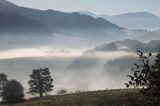 Bieszczady, widok z Przełączy Wyżnej na Przełęcz Wyżniańską, w porannej mgle