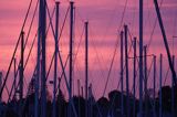 marina w Port la Foret, Finistere, Bretania, Francja