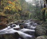 potok Caryński Bieszczady