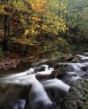 potok Caryński, Park Krajobrazowy Doliny Sanu