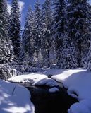 Filipczański Potok Tatry