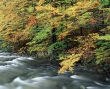 potok Nasiczański, Park Krajobrazowy Doliny Sanu, Bieszczady