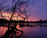 Podlaski przełom Bugu Park Krajobrazowy, wiosenne rozlewiska