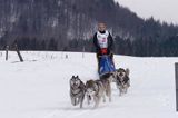 psi zaprzęg, wyścigi psich zaprzęgów, Kager Cup, W krainie wilka, Lutowiska, Bieszczady