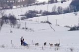 psi zaprzęg, wyścigi psich zaprzęgów, Kager Cup, W krainie wilka, Lutowiska, Bieszczady