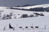 psi zaprzęg, wyścigi psich zaprzęgów, Kager Cup, W krainie wilka, Lutowiska, Bieszczady