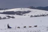 psi zaprzęg, wyścigi psich zaprzęgów, Kager Cup, W krainie wilka, Lutowiska, Bieszczady