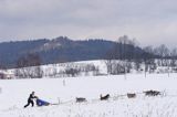 psi zaprzęg, wyścigi psich zaprzęgów, Kager Cup, W krainie wilka, Lutowiska, Bieszczady