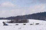 psi zaprzęg, wyścigi psich zaprzęgów, Kager Cup, W krainie wilka, Lutowiska, Bieszczady