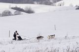 psi zaprzęg, wyścigi psich zaprzęgów, Kager Cup, W krainie wilka, Lutowiska, Bieszczady