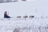 psi zaprzęg, wyścigi psich zaprzęgów, Kager Cup, W krainie wilka, Lutowiska, Bieszczady