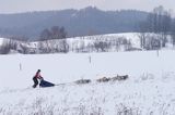 psi zaprzęg, wyścigi psich zaprzęgów, Kager Cup, W krainie wilka, Lutowiska, Bieszczady