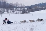 psi zaprzęg, wyścigi psich zaprzęgów, Kager Cup, W krainie wilka, Lutowiska, Bieszczady