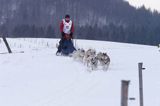 psi zaprzęg, wyścigi psich zaprzęgów, Kager Cup, W krainie wilka, Lutowiska, Bieszczady