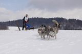 psi zaprzęg, wyścigi psich zaprzęgów, Kager Cup, W krainie wilka, Lutowiska, Bieszczady