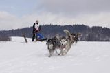 psi zaprzęg, wyścigi psich zaprzęgów, Kager Cup, W krainie wilka, Lutowiska, Bieszczady