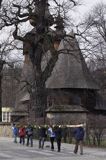 Rabka, niesienie palmy wielkanocnej zabytkowym kościele drewnianym pw św. marii Magdaleny, Muzeum Władysława Orkana, Niedziela Palmowa