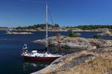 Safran przy Ragholmen w archipelagu Laxvarp, Archipelag Gryt, szwedzkie szkiery, Szwecja