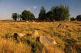 Rezerwat Głazowisko Rutka Suwalski Park Krajobrazowy