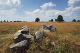 Rezerwat Głazowisko Suwalski Park Krajobrazowy