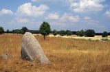 Rezerwat Głazowisko Suwalski Park Krajobrazowy