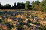 Rezerwat Głazowisko Bachanowo Suwalski Park Krajobrazowy