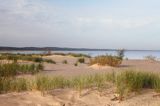 plaża, rezerwat Mewia Łacha, Zatoka Gdańska, Bałtyk