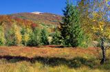 rezerwat Wołosate - torfowisko wysokie, Bieszczady