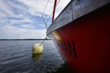 na boi na kotwicowisku Kattinge Vig, Roskilde Fjord, Zelandia, Dania