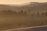 Rosochate, świt, Bieszczady