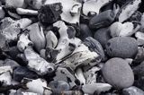 kamienie u stóp klifów - wybrzeże w Parku Narodowym Jasmund na wyspie Rugia, Niemcy