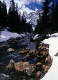 Rybi Potok, Tatry, Tatrzański Park Narodowy