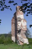 Rytwiany, ruiny zamku Jastrzębców
