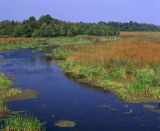 rzeka Biebrza koło Lipska, Biebrzański Park Narodowy