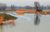 rzeka Elbląg żuławy wiślane