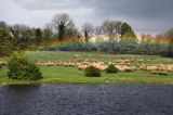 tęcza, rzeka Shannon, rejon Górnej Shannon, Irlandia