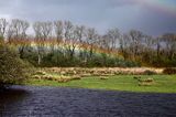 tęcza, rzeka Shannon, rejon Górnej Shannon, Irlandia