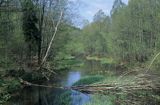 rzeka Zbrzyca Zaborski Park Krajobrazowy