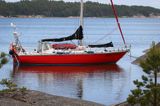 Safran, Trismus 37, Wyspa Iso Kaskinen, Archipelag Turku, Finlandia