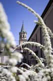 Sanok, Kościół i klasztor Franciszkanów w Sanoku