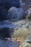 szron nad Sanem, Bieszczady koło Smolnika