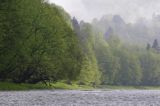 Rzeka San, mgły poranne, Bieszczady